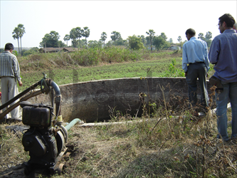 agriculture